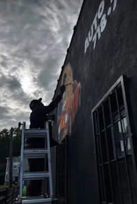 a man painting a mural on the side of a building
